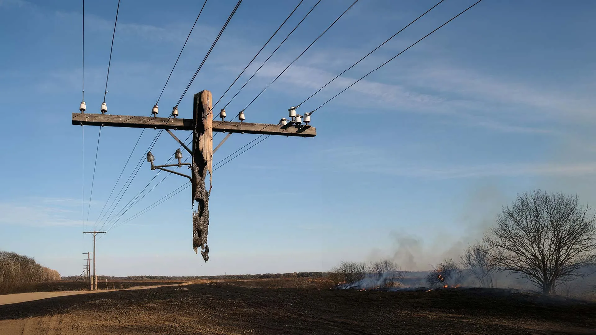 The Resilience Mandate: A Lifecycle Analysis of Steel, Wood, and Composite Poles in Australia